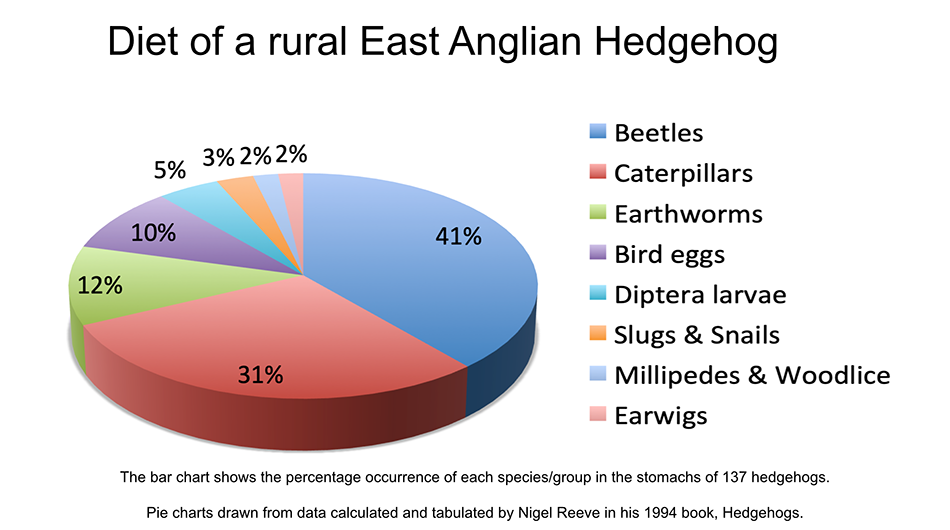 Image of the Diet of a rural East Aanglian  Hedgehog