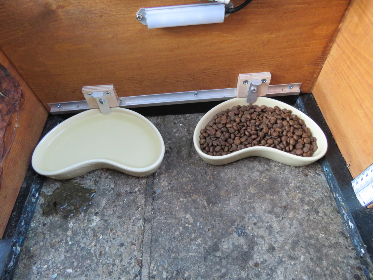 Hog feeder