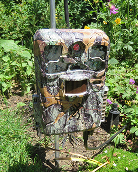 Trail camera